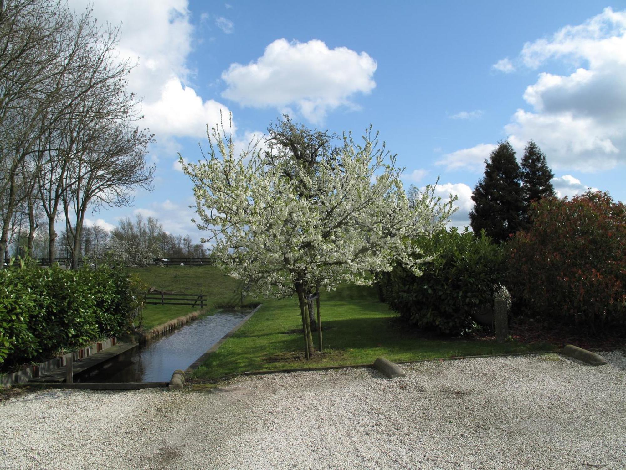 The Waverly House Bed & Breakfast Ouderkerk aan de Amstel Luaran gambar